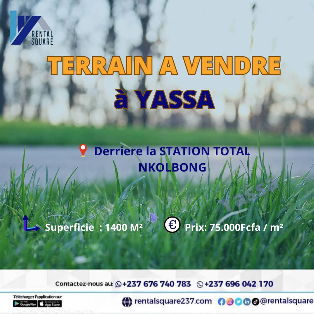 🔹🔹🔹TERRAIN A VENDRE

📍YASSA
 ( Derrière TOTAL NKOLBONG )

➡️ 1400 m2 

💰Prix : 75.000 FCFA /M2

📞676740783 ( appels et whatsapp)

 #realestate #rentalsquare #immobilier #immobilierdeluxe #terrainavendre #terrainavendreadouala #terrainàvendreyassa #yassa