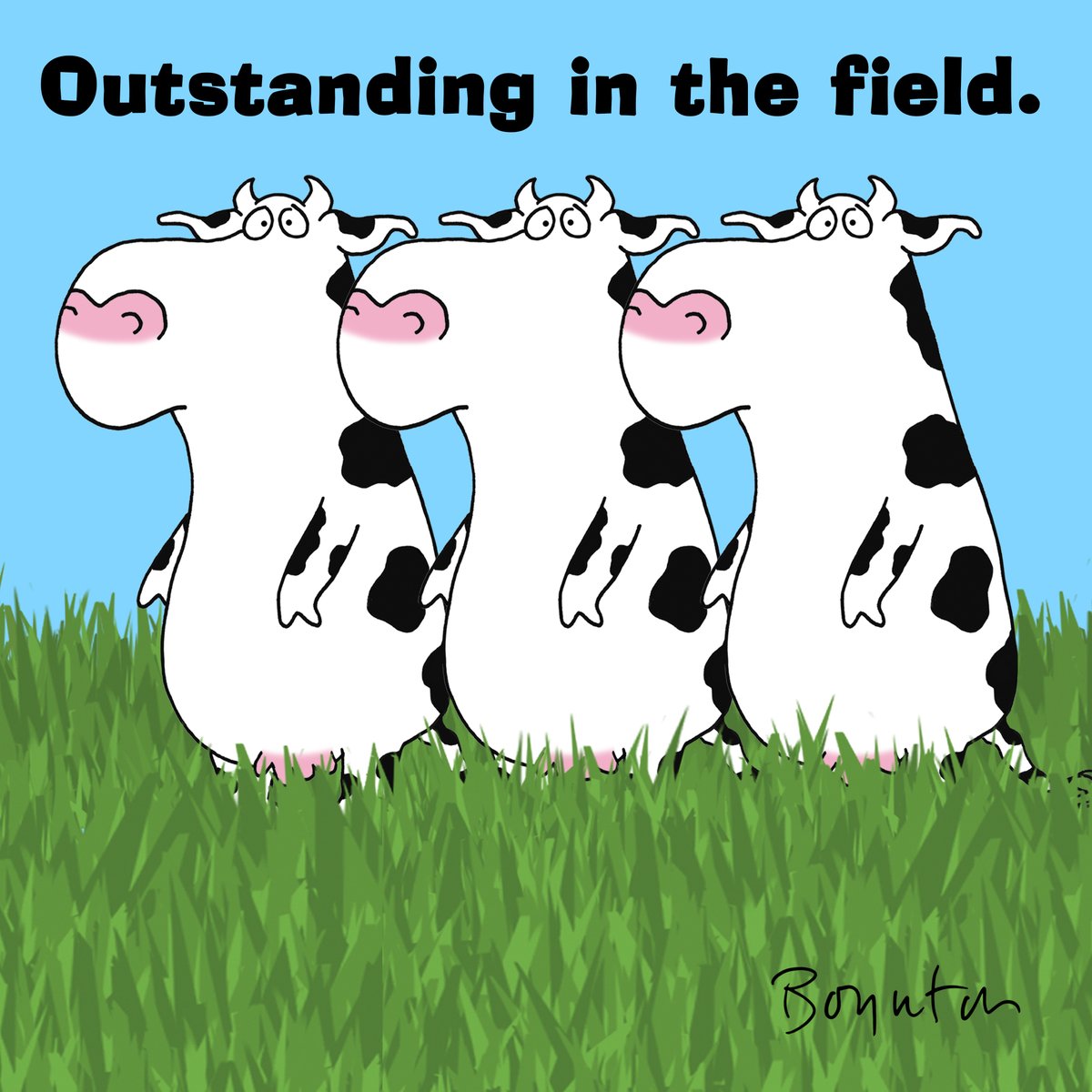 July 11th is Cow Appreciation Day. Be sure to compliment your local cows. #CowAppreciationDay