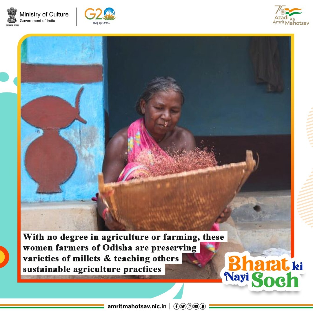 AmritMahotsav's tweet photo. The women farmers of #Nuaguda village of #Odisha may hold no certificates or degrees, yet they are working towards conserving traditional rice &amp; millet varieties. They have so far saved 70+ types of native rice &amp; 40+ types of millet. (1/2)  

#AmritMahotsav #BharatKiNayiSoch https://t.co/QZKPtbZ2KY