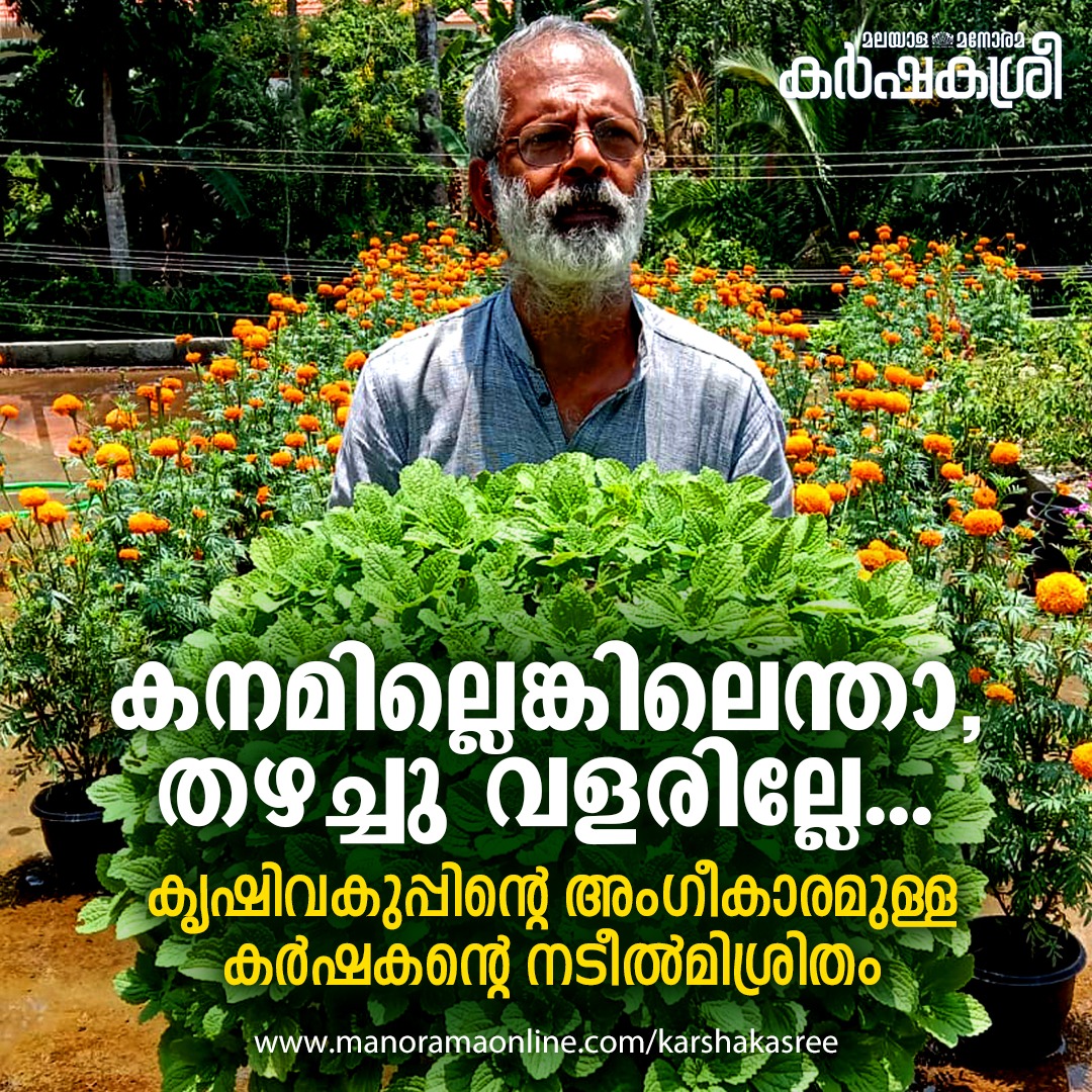 manoramaonline's tweet photo. വളമായും നടീൽമിശ്രിതമായും ഉപയോഗിക്കാം #Karshakasree #pottingmix
Read more at: https://t.co/t60Nr1rP6w https://t.co/DZGqzs4bzj