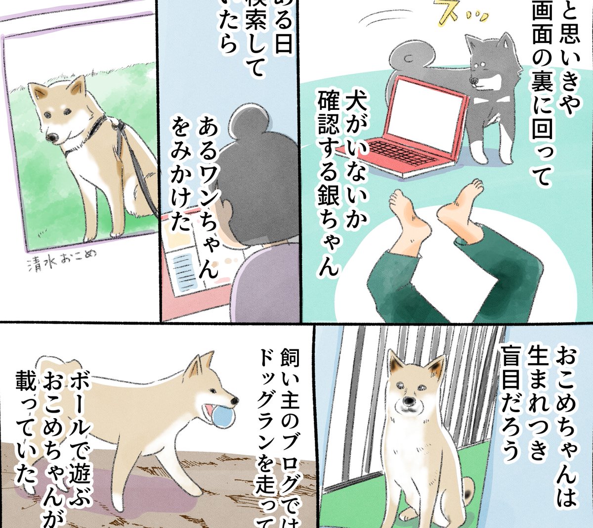 今週の週刊SPA!『犬々ワンダーランド』はSNSで見かける🐶犬の動画や画像について。次回は柴犬「清水おこめちゃん」が登場します!飼い主の清水清隆さん、おこめちゃん、取材をお受けいただきありがとうございます!!