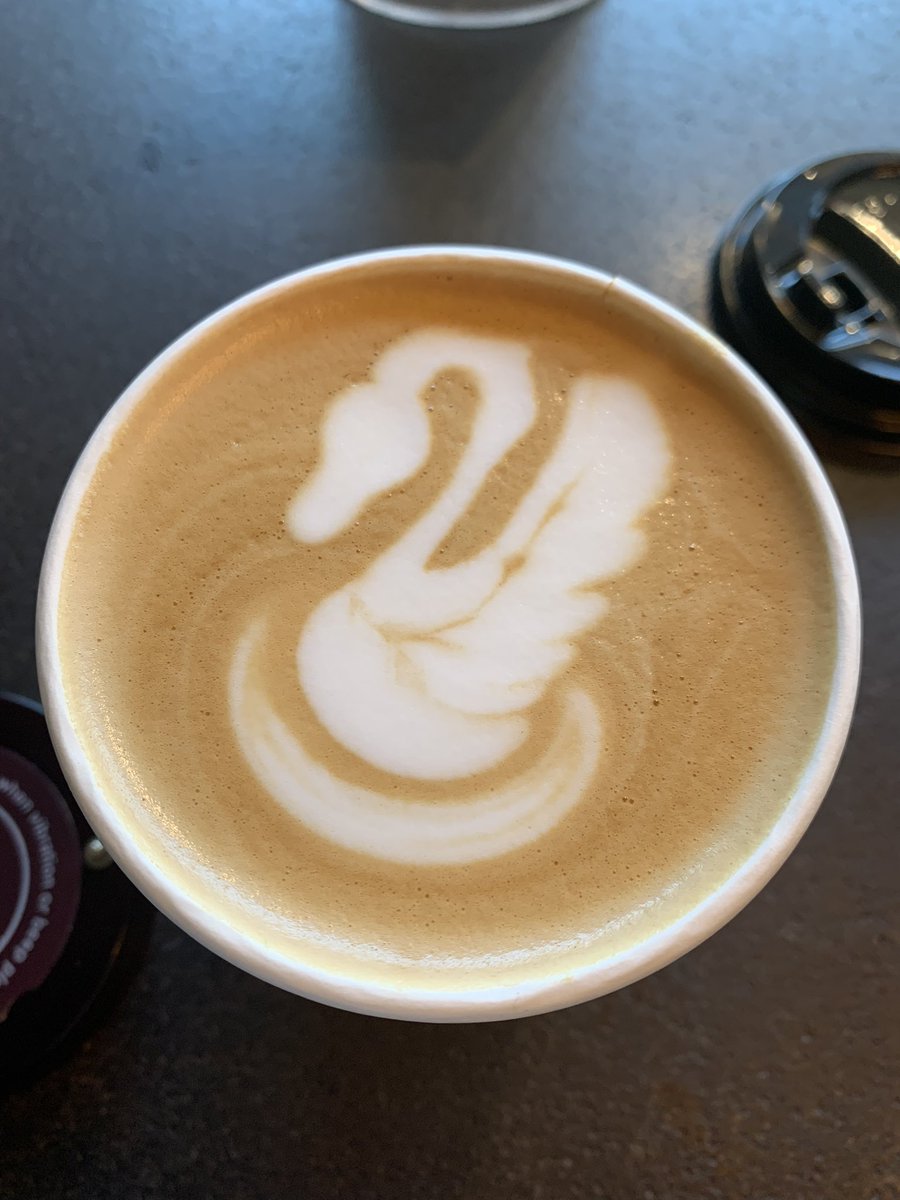 Hina94318336's tweet photo. 今日、カフェで初スワン🦢
#DIMITRIS https://t.co/D1gcoZYYxE