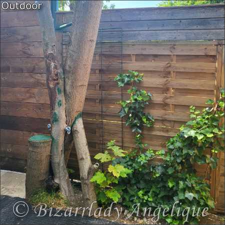 Mein neu gestalteter Outdoorbereich.