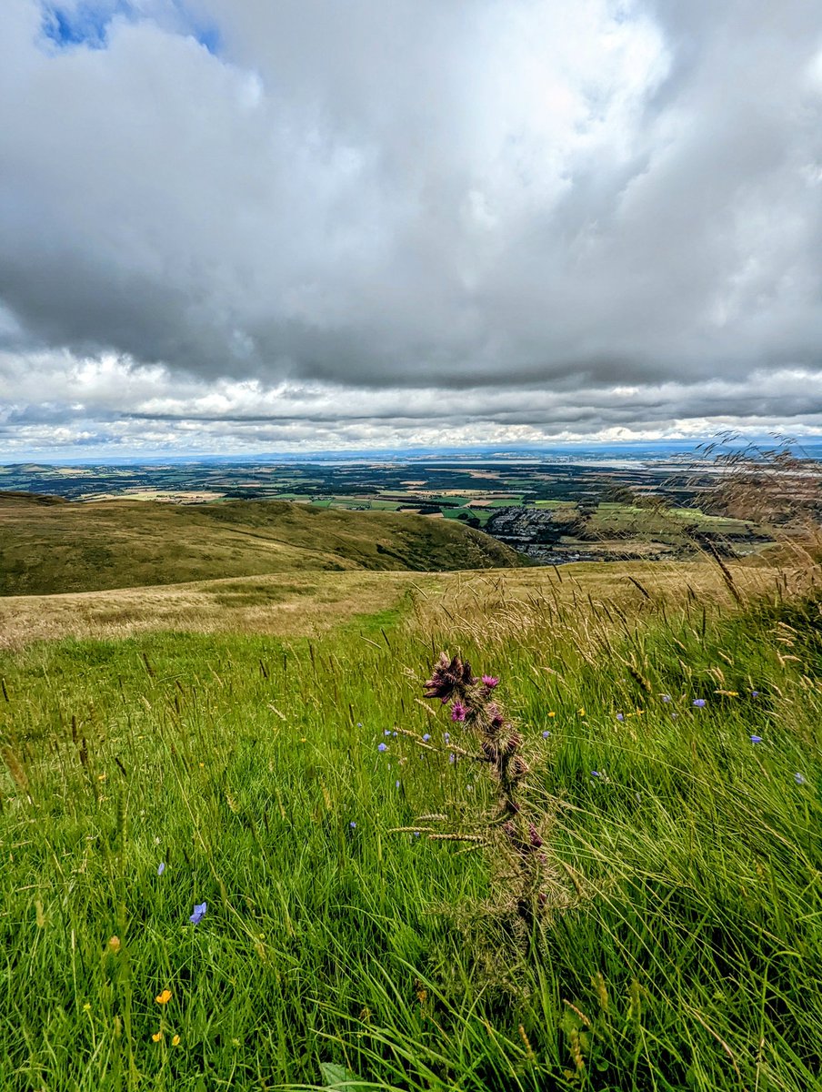 𝔸𝕟𝕕𝕣𝕖𝕨 ℍ𝕒𝕨𝕜𝕚𝕟𝕤 ❤️🌍 tweet media