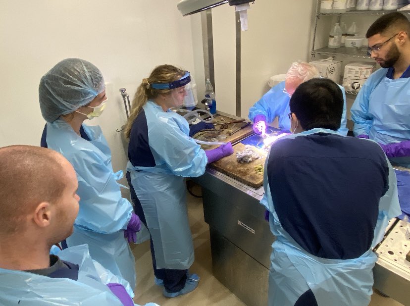 UKYpathology's tweet photo. Welcome to our PGY1 Academic year 2023-2024! Orientation month, with morning educational didactic, on how to use the microscope, normal histology and autopsy dissection. YOU ROCK! We are delighted to welcome you at @UKY https://t.co/BOmzDXOPIX