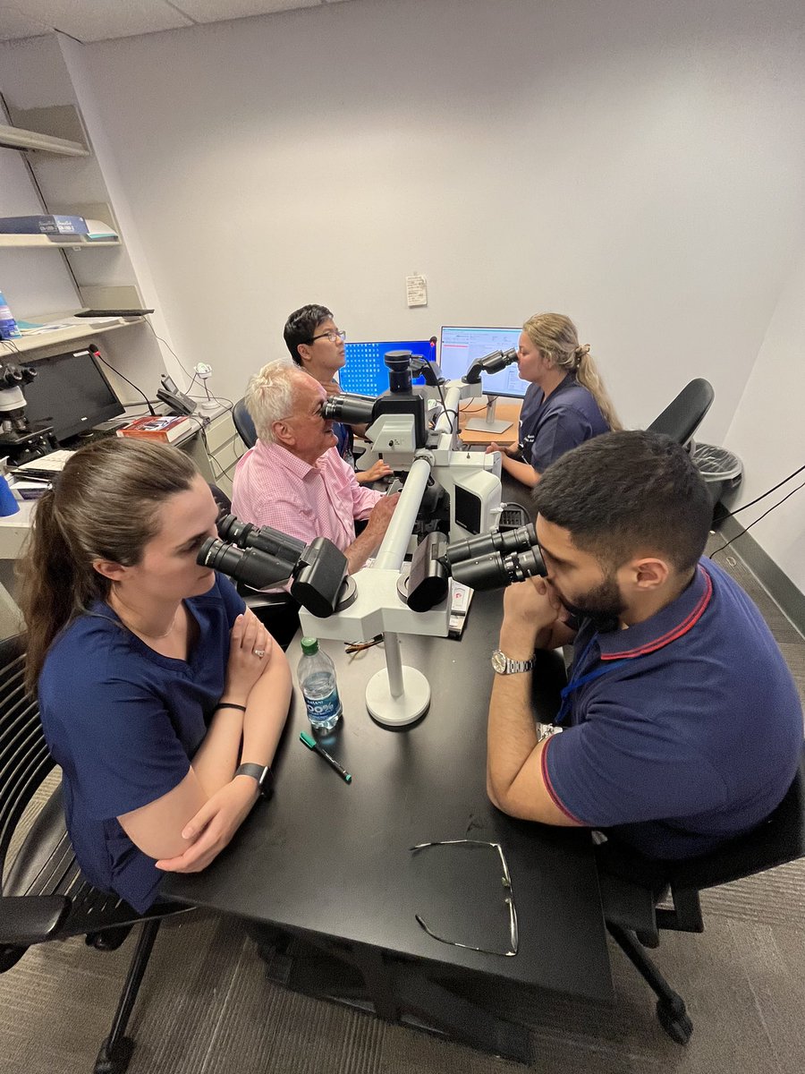 UKYpathology's tweet photo. Welcome to our PGY1 Academic year 2023-2024! Orientation month, with morning educational didactic, on how to use the microscope, normal histology and autopsy dissection. YOU ROCK! We are delighted to welcome you at @UKY https://t.co/BOmzDXOPIX