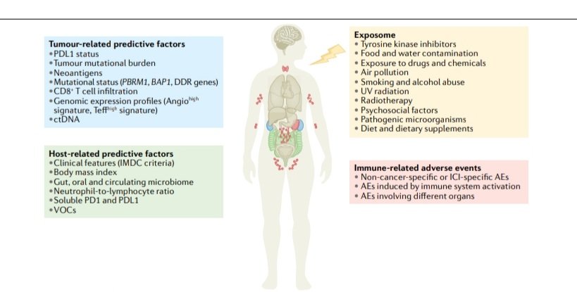 💫🌟🔊📚 #Biomarcadores pronósticos y predictivos para la inmunoterapia en el carcinoma de células renales avanzado: 🌟 Excelente artículo. Un placer leerlo. ¡Si quieres una revisión completa, aquí está! 👏👇📖 Puntos clave: ❌ No existen biomarcadores validados para