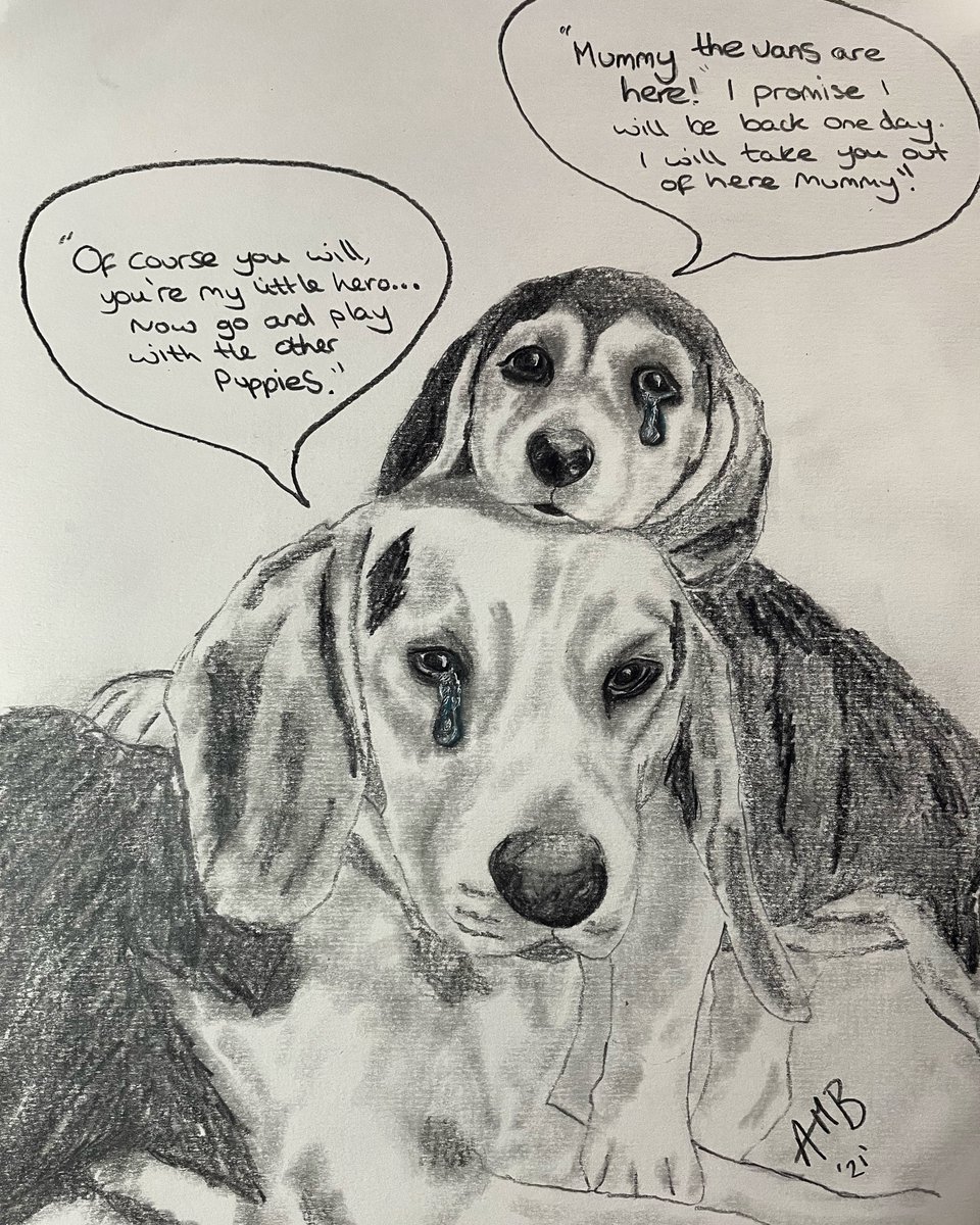 First artwork - (AMB 21) FREE the MBR beagles!