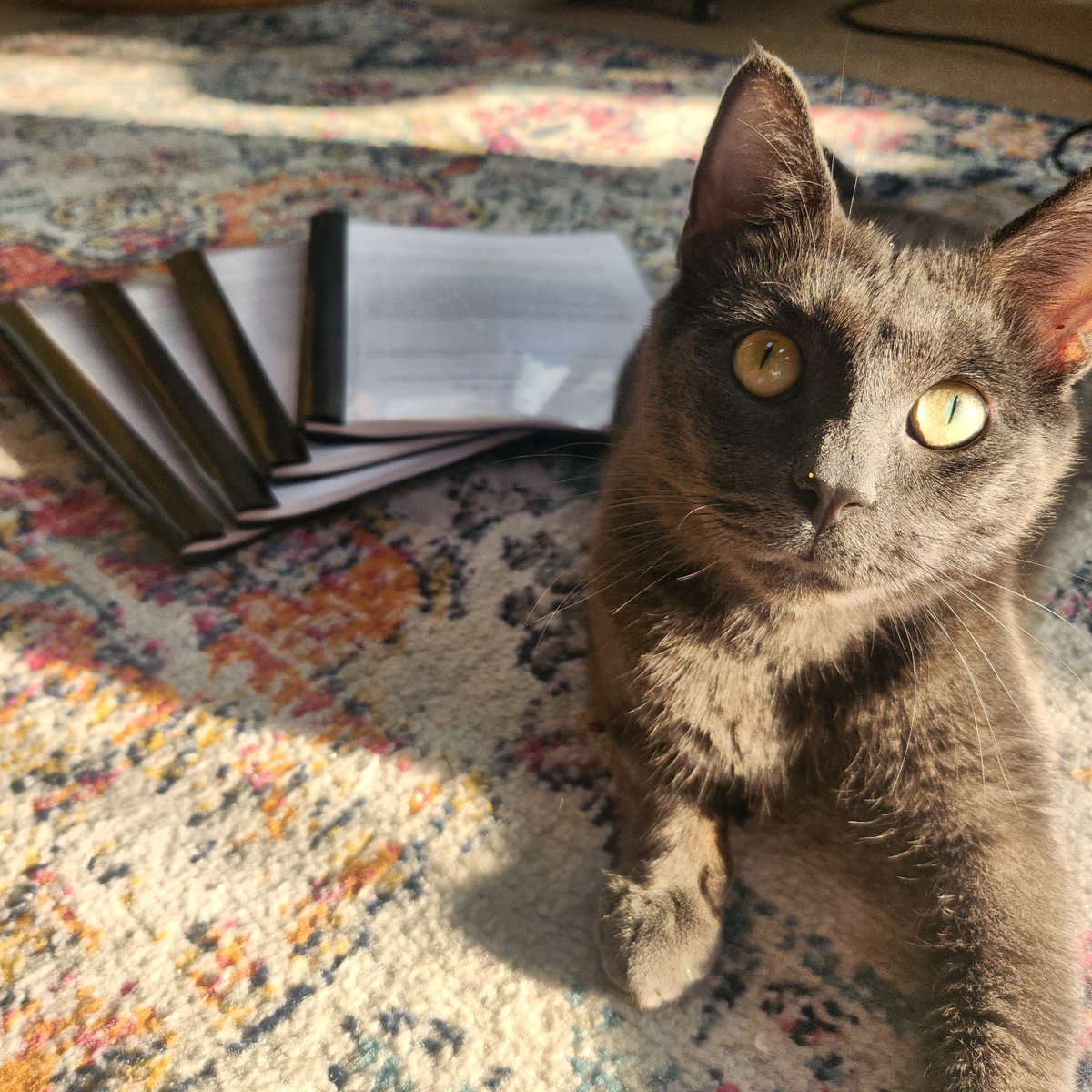 Kalynn Applewhite 📚 tweet media