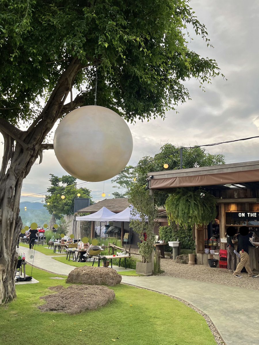 wisd tweet media