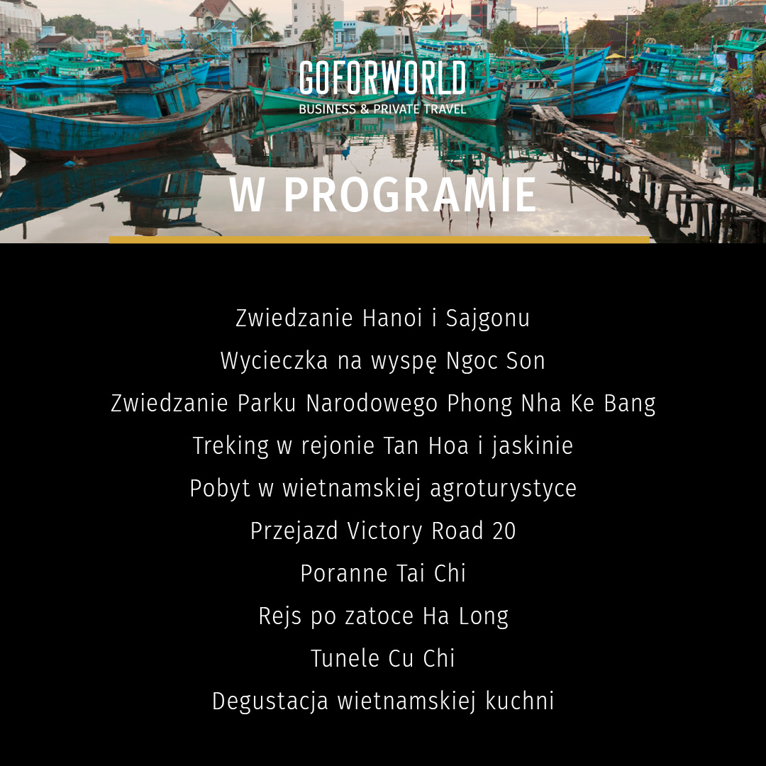 goforworld tweet media