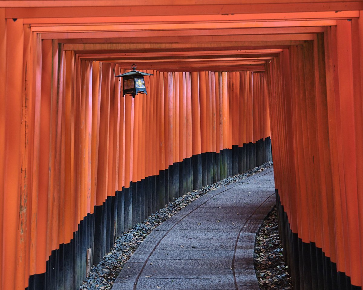 MikeVrobelPhoto's tweet photo. Travel Photography: Fushimi Inari temple in Kyoto, Japan:
- 10000 gates path
Fujifilm X-T5 with 10-24/4 and 18-120/4
\ #FushimiInari #Kyoto #Japan #shrine #toriigates @visit_kyoto #travelphotography #pixelconnectiongiveaway  #MyFujifilmLegacy #fujifilmjapan #Fujifilm_US https://t.co/r6xIHFACXj