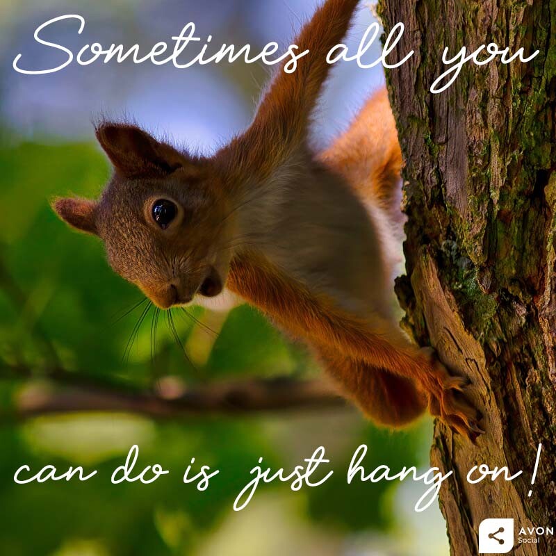 Being an adult can get rough sometimes, at times it can just feel like you are holding on, perfectly portrayed by this fantastic squirrel! 😂

What's the ideal way to get you feeling happy? 😁
#Smile #Happy #Joyful