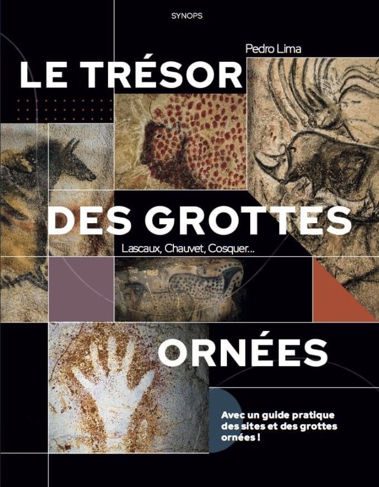 4 beaux rdv estivaux pour des dédicaces de mon livre « Le trésor des grottes ornées »!
- 14 juillet au Pôle d'interprétation de la Préhistoire des Eyzies.
- 15 juillet à Lascaux 4.
- 16 juillet à Pech Merle (Lot). 
- 21 juillet à Chauvet 2 - Ardèche.