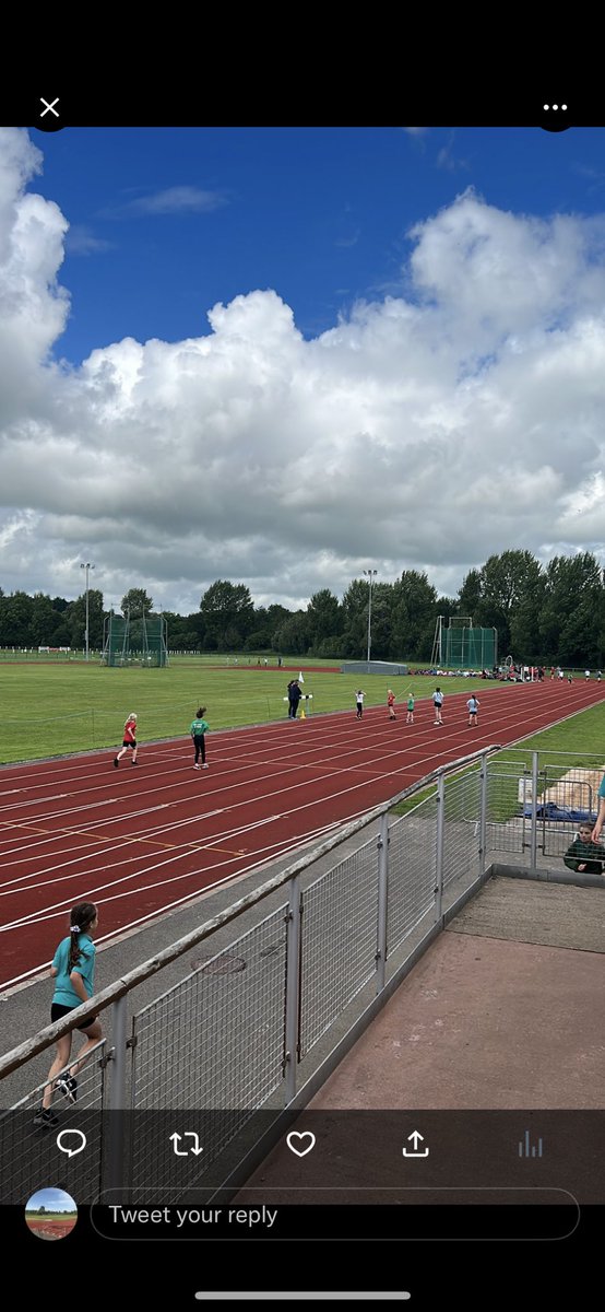 Sheepmount tweet media