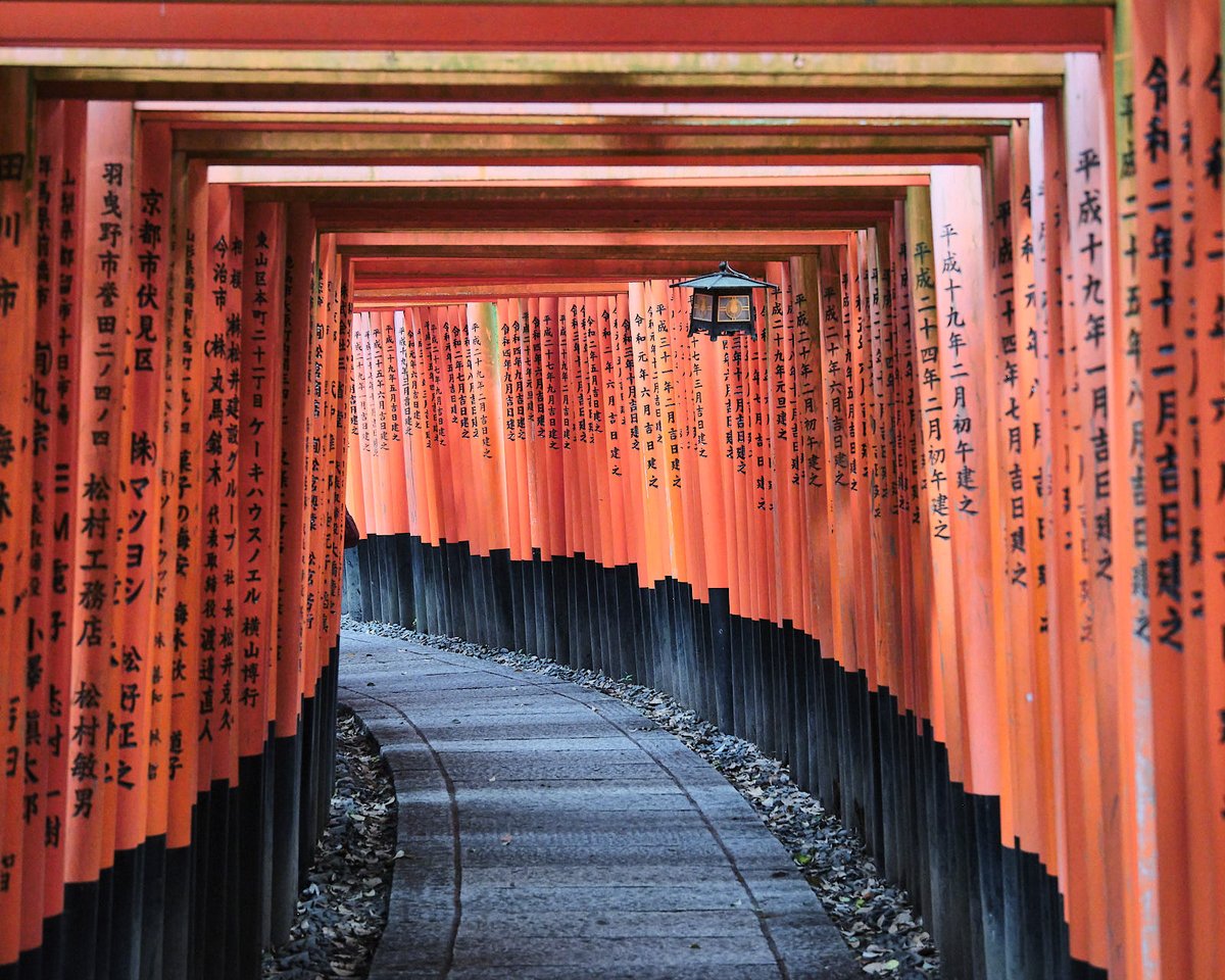 MikeVrobelPhoto's tweet photo. Travel Photography: Fushimi Inari temple in Kyoto, Japan:
- 10000 gates path (back side)
Fujifilm X-T5 with 18-120/4
\ #FushimiInari #Kyoto #Japan #shrine #toriigates @visit_kyoto #travelphotography #pixelconnectiongiveaway #MyFujifilmLegacy #fujifilmjapan #Fujifilm_US https://t.co/9equCq3g5n