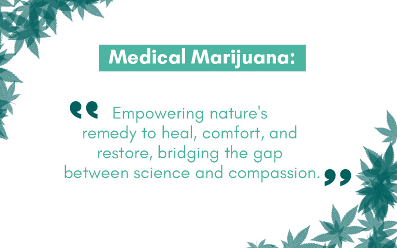 To know more about Medical Marijuana card , once visit our website GreenPot MD : greenpotmd.com