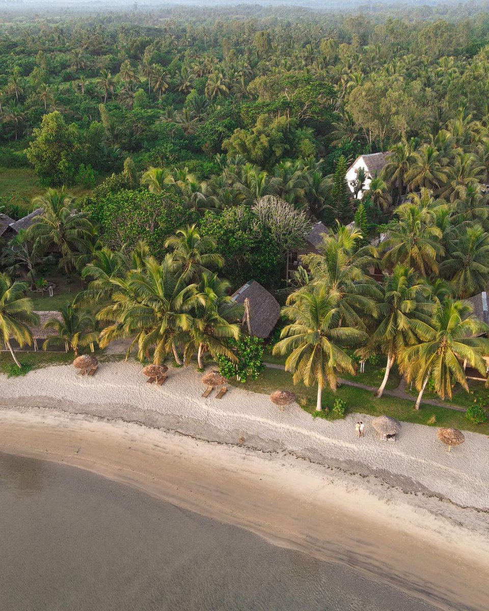 IleMadagascar's tweet photo. Peace and quiet in the heart of Mahambo's pristine natural setting.💚
📸 ©alicedtrx
#Mymadagascar #VisitMadagascar #mahambo https://t.co/JElpT9MPSK