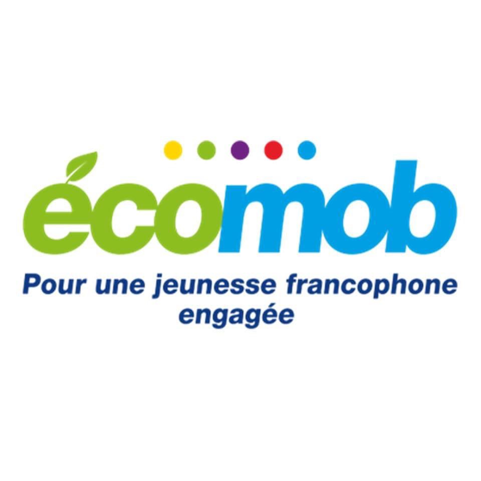 NzilaLeaders's tweet photo. Nous avons rencontré Mme Matsumoto de l'OIF et des associations sœurs pour discuter du projet ECOMOB et des actions à venir en faveur de l'environnement, des opportunités offertes par l'OIF aux jeunes et aux associations engagées dans la préservation de l'environnement. 
#ECOMOB https://t.co/IQeqQqzeV6