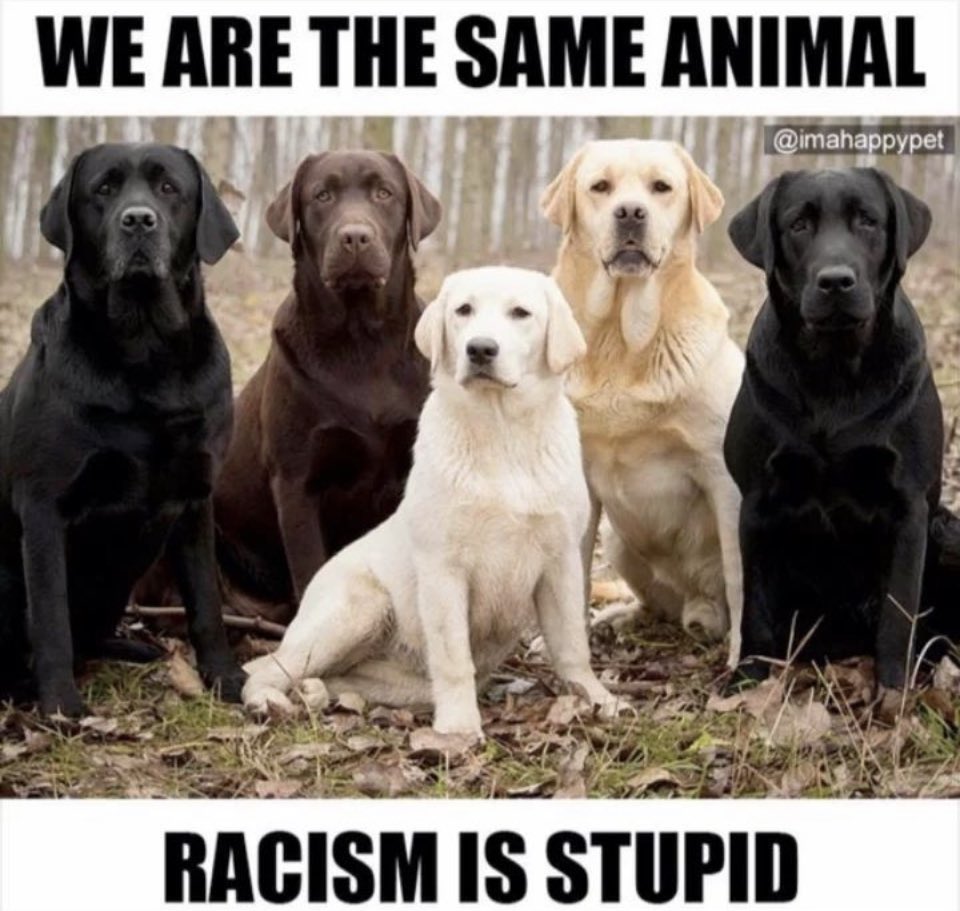 rcurtin29's tweet image. I am not a social activist but after a lifetime of military service, a decade plus in education, and my personal values and morals—this meme resonated strongly with me!  I can’t remember where I got it, sorry. 

Just be kind and respectful to all! #kind #respect #racismisstupid