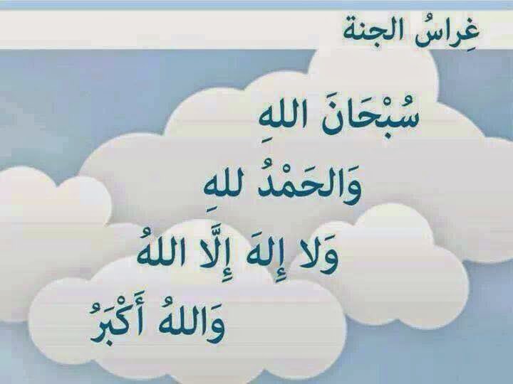 nawal6767 tweet picture