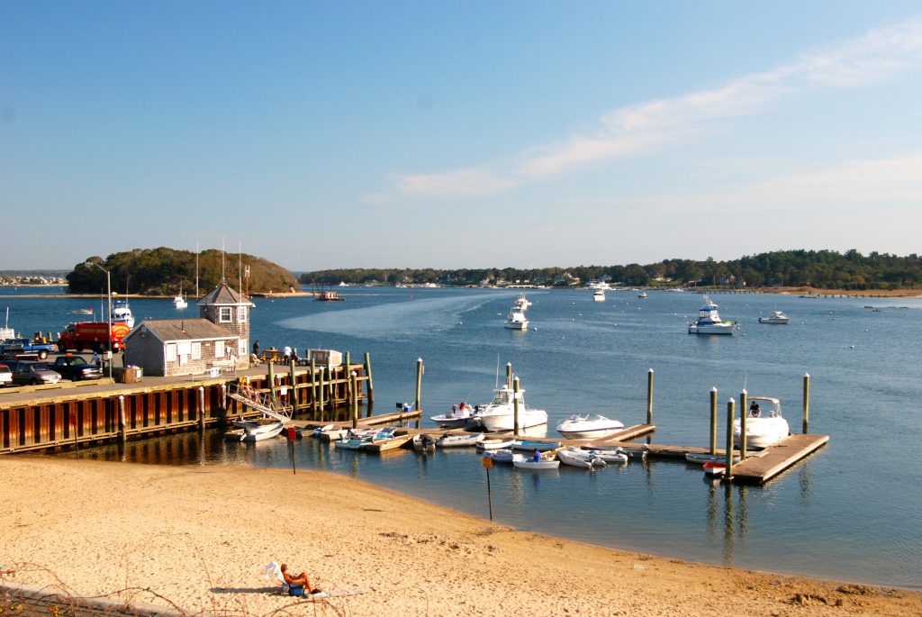 Dwyer Murphy tweet media