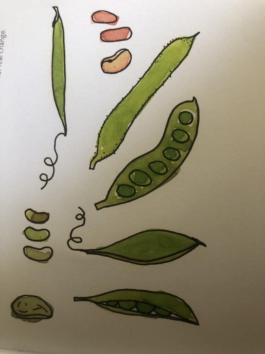 Louise O. Fresco tweet media