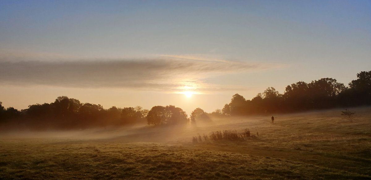 PHOTO COMPETITION!!
Do you love photographing Hampstead Heath? Take part in our 2023 Photo Competition for a chance to be featured in the 2024 Hampstead Heath calendar or win a cash prize. Over 18s and youth categories.
More info: heath-hands.org.uk/photo-competit… 
📷C. Marks (2022 winner)