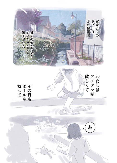 ポケモン世界の育児エッセイ 11/12
出会い編 