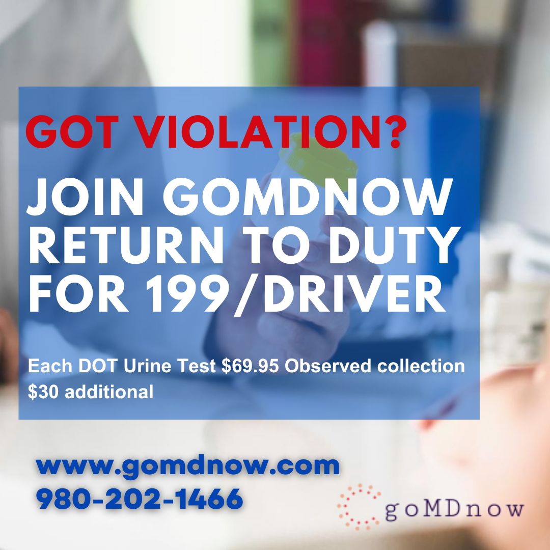 m_dnow's tweet image. goMDnow Return to Duty and get back in action for just $199/driver.
gomdnow.com/return-to-duty…
instagram.com/gomdnow/
linkedin.com/company/gomdno…
youtu.be/dHof5wugkD0 #SimplifyYourProcess
#dot_non_dotdrugscreenings 
#ReturnToDuty #ProfessionalDrivers #GetBackOnTheRoad