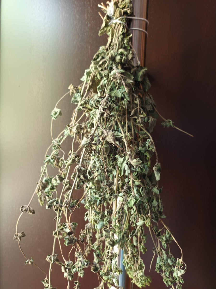 kristallnaach's tweet photo. #Oregano 🌱🌿 wilder #Majoran
trocknen..zerkleinern #selbstgemacht
#Kräuter💚#Ernte🌱#Gärtchen23 https://t.co/FtzyNh5HYW