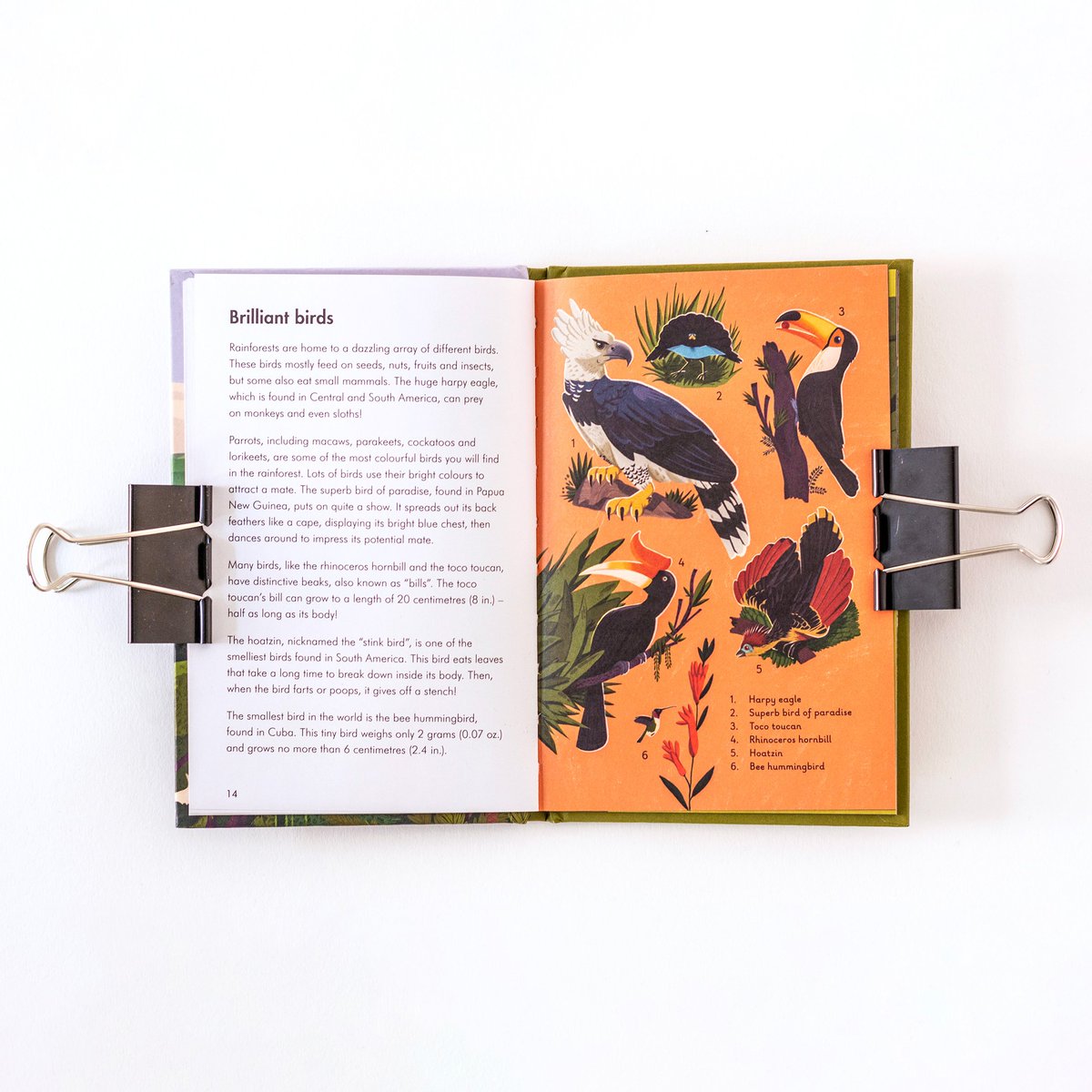 Hi #PortfolioDay! Teo here, an illustrator based in 🇫🇮. Working with #kidlitart and #editorialillustration. Love drawing characters, animals, and whimsical scenes.    

🌐 teogeorgiev.com
🖼 instagram.com/teowithdoodles
🙌 Rep. by INKLING ILLUSTRATION
💌 t.georgiev.g@gmail.com