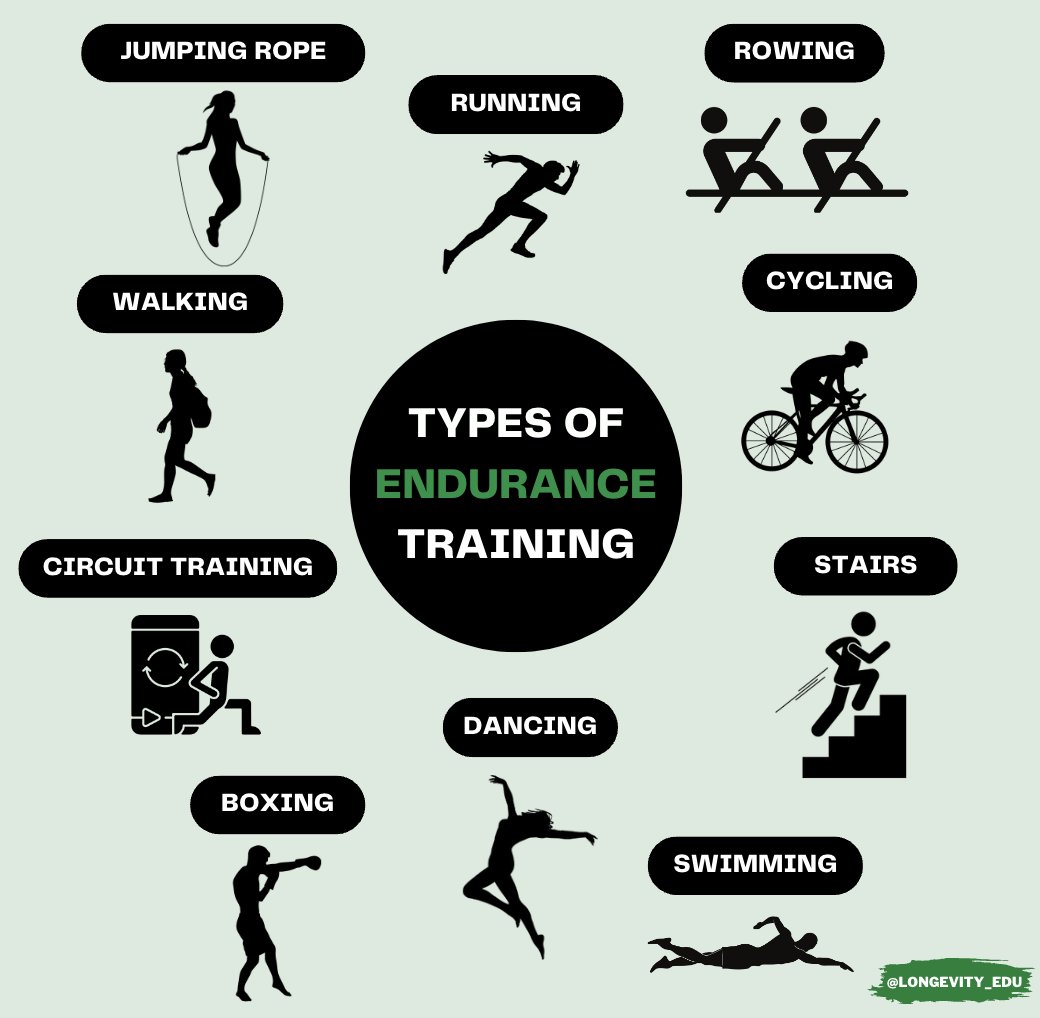 Exercise Is The 1 Most Powerful Tool For Longevity Here Are 4 Types exercise-is-the-1-most-powerful-tool-for-longevity-here-are-4-types