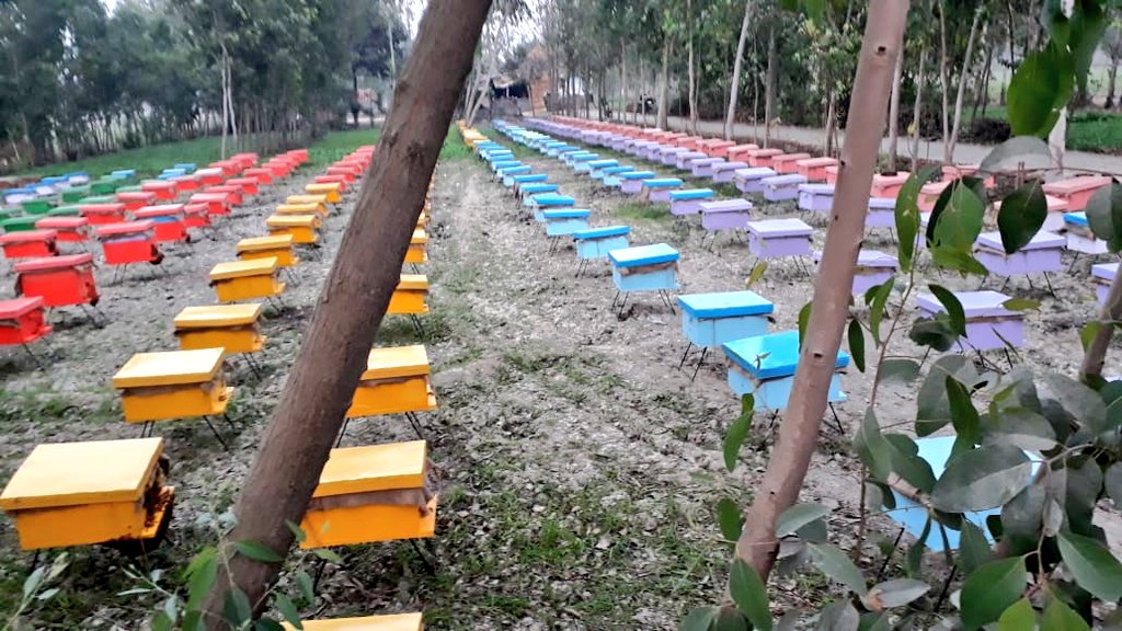 MukeshPathakji's tweet image. #ApiaryLife 
#Apiary #Bees #Bee #Honey #FabaHoney