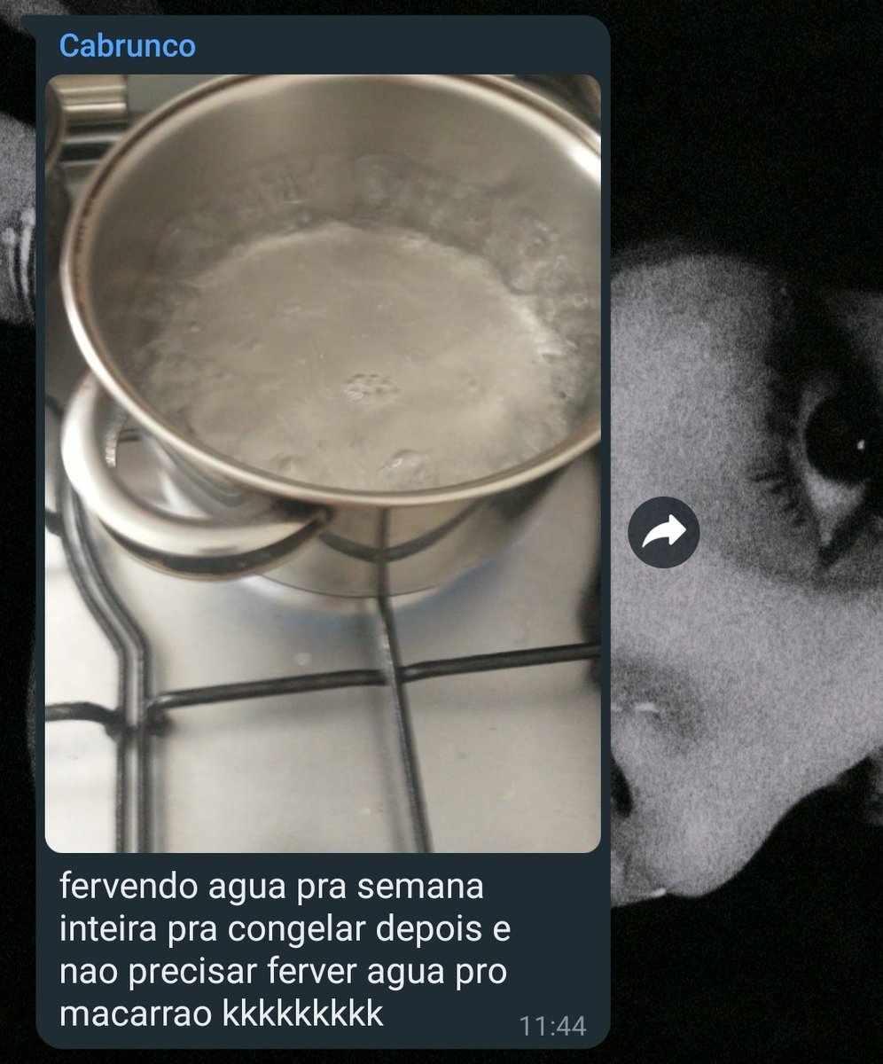 coisas burras ditas de forma inteligente (@burrosgeniais) on Twitter photo 