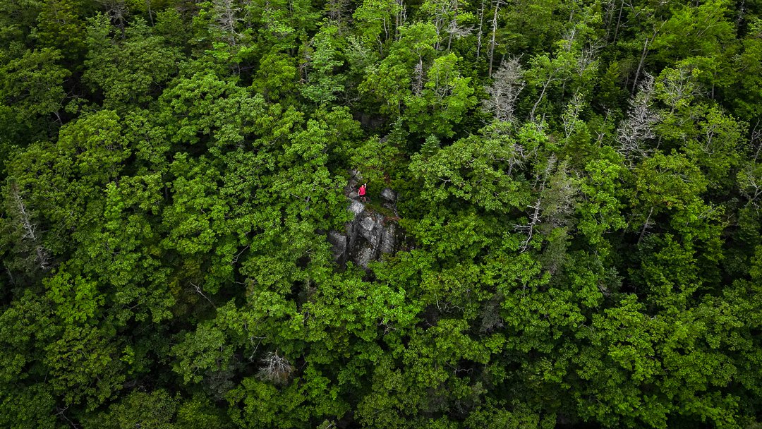 Little Mountains 

#mountainsofnovascotia 
#hikens
#VisitNovaScotia 
#explorenovascotia 
#capturenovascotia