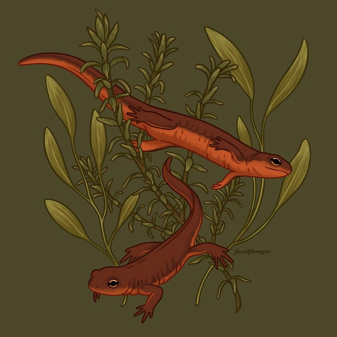 「lizard」 illustration images(Latest)