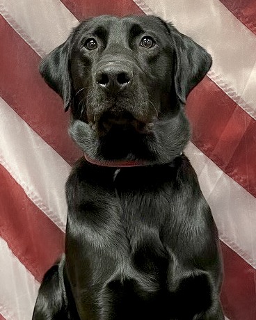 Washington County Sheriff's Office tweet media