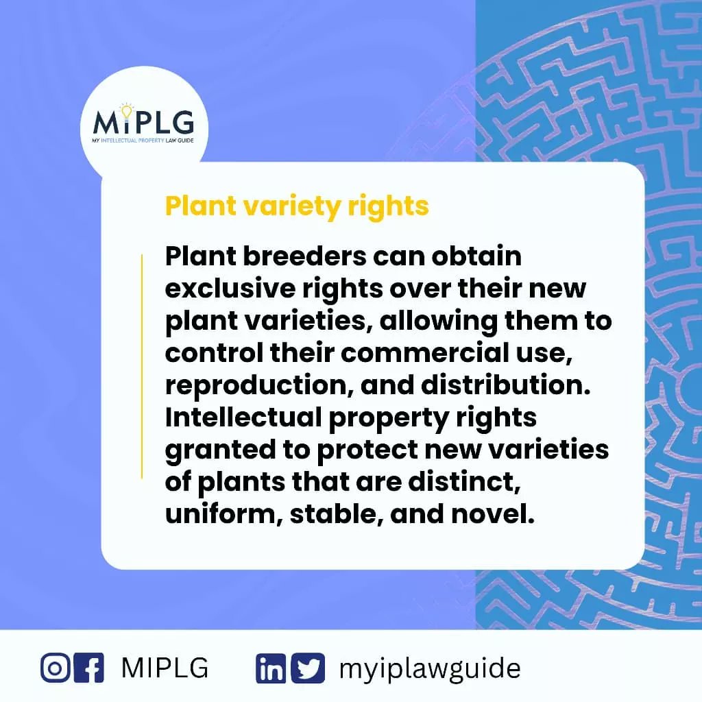 miplg's tweet photo. Mr. A who is a renowned farmer after several years into farming decided to breed two different plant which are Plant A and B to form plant C. 
 What right does Mr A have in patent over the  breeded plant ?

#MIPLG 
#intellectualproperty 
#plantbreeders https://t.co/ArHdc1ivCT