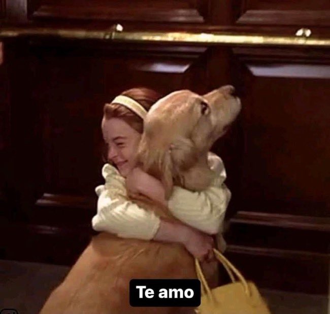yo con cualquier perrito que veo