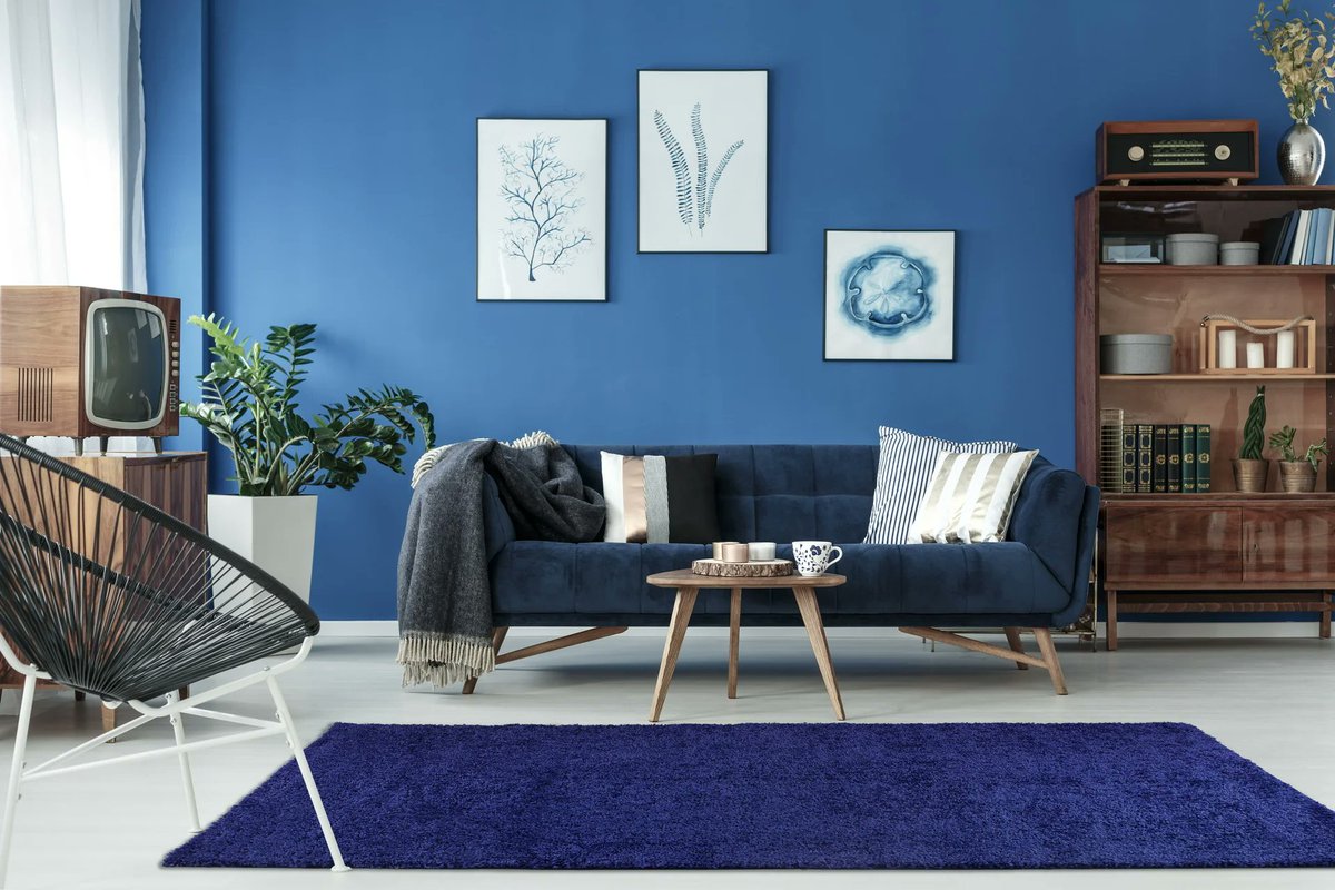 ladolerugs's tweet photo. Set a chic foundation for your stylish space with 𝐋𝐚 𝐃𝐨𝐥𝐞's shaggy area rug, showcasing a navy blue hue. perfect for rolling out in living rooms or digging your toes into right out of bed in the morning.

🛒𝐒𝐡𝐨𝐩 𝐍𝐨𝐰: https://t.co/y23KaXTrTK

#shaggyrugs #rugscanada https://t.co/5xMBqKlQZJ