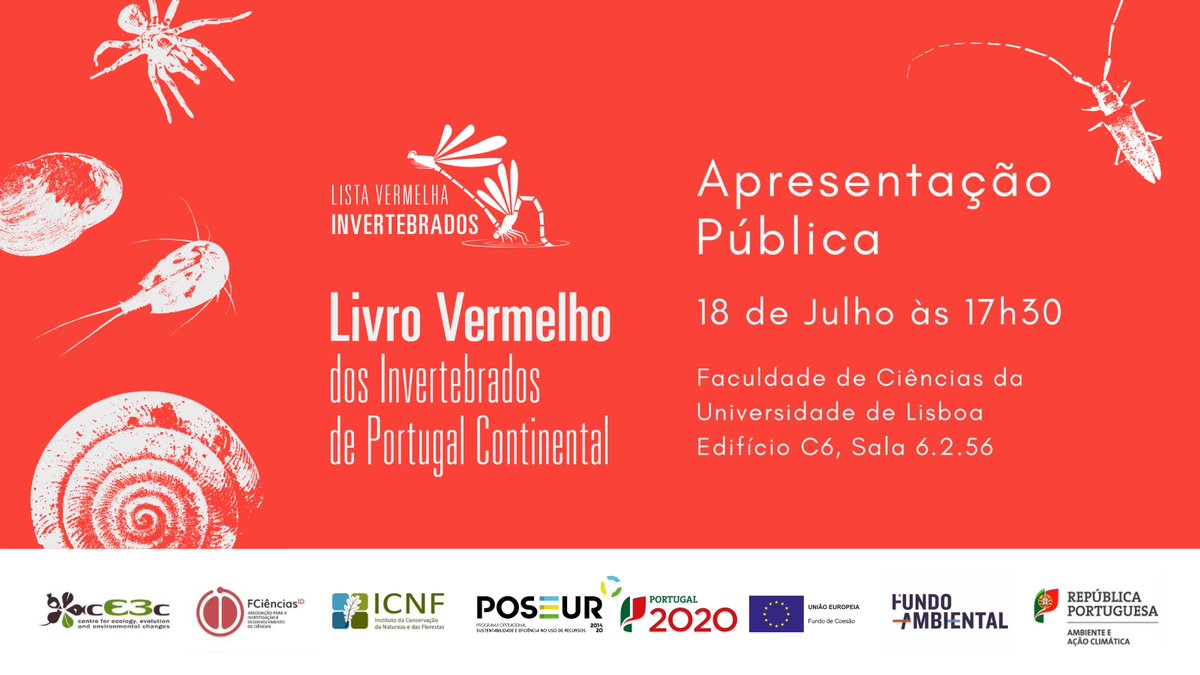 CE3CResearch's tweet image. Invertebrates on 🔴red alert🔴
🪰🦋🐝🐌🐜🐞🪲🕷🦗🦐
The public presentation of the 1st Red Book of Invertebrates of mainland Portugal 🇵🇹 takes place next Tuesday, 18 July, at 17h30 at @FC_UL 
+info👉 ce3c.ciencias.ulisboa.pt/outreach/press…
🆓registration, but mandatory 👉 tinyurl.com/yc6xsx2t