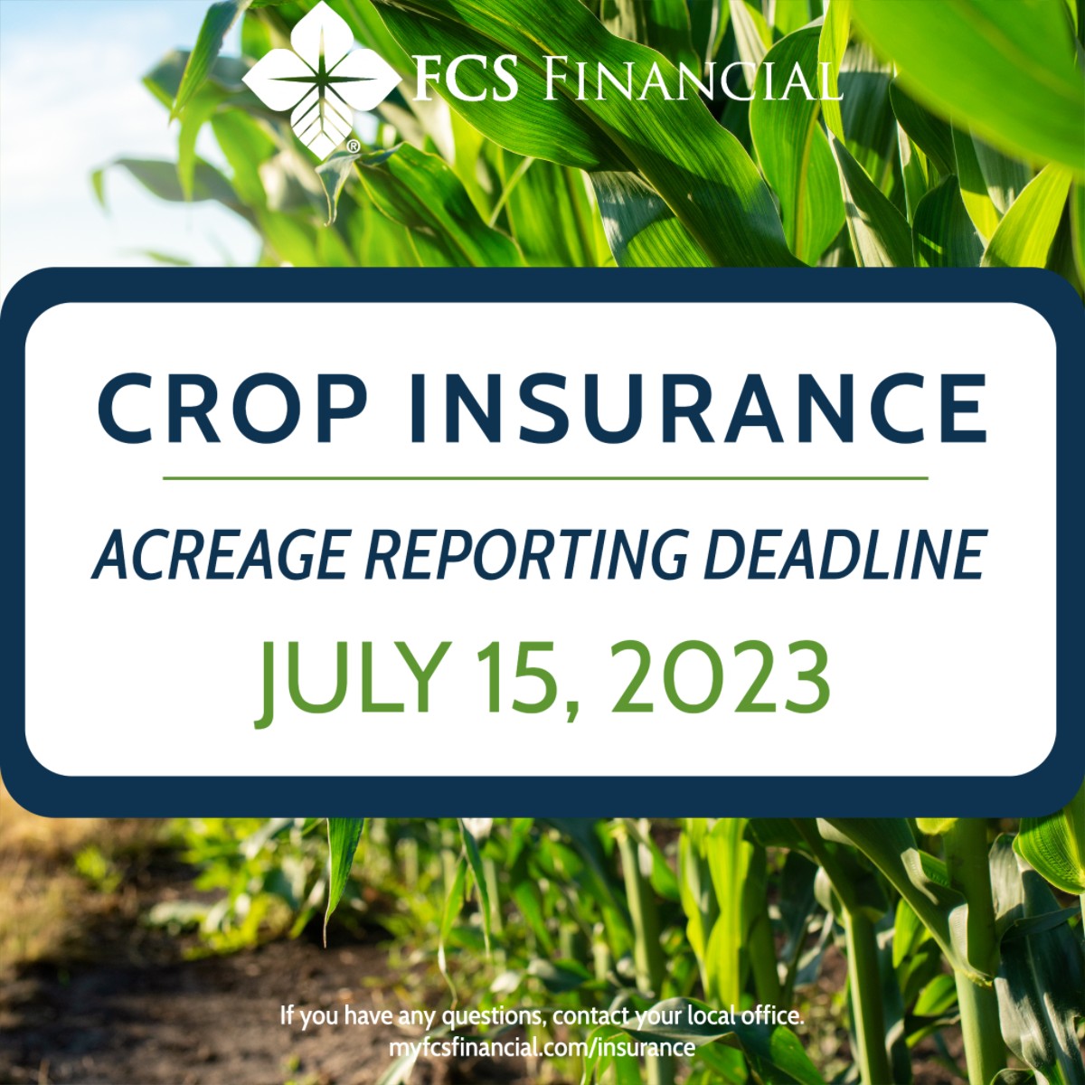 FCS Financial tweet media