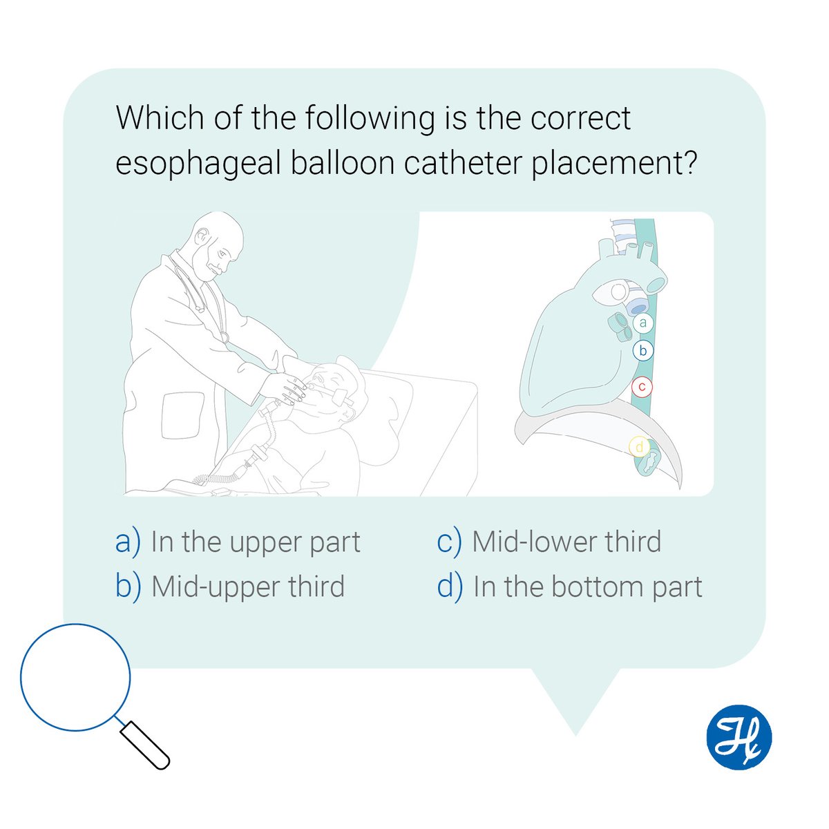 HamiltonMedical's tweet photo. #VentilationQuiz! Which of the following is the correct esophageal balloon catheter placement?
Answer below & click the link to see if you were right! https://t.co/qIRCxTy92G
#RespiratoryCare #VentilationKnowledge #EsophagealPressure #TestYourIntelliVence #TriviaTuesday https://t.co/0MYzSc9RbV