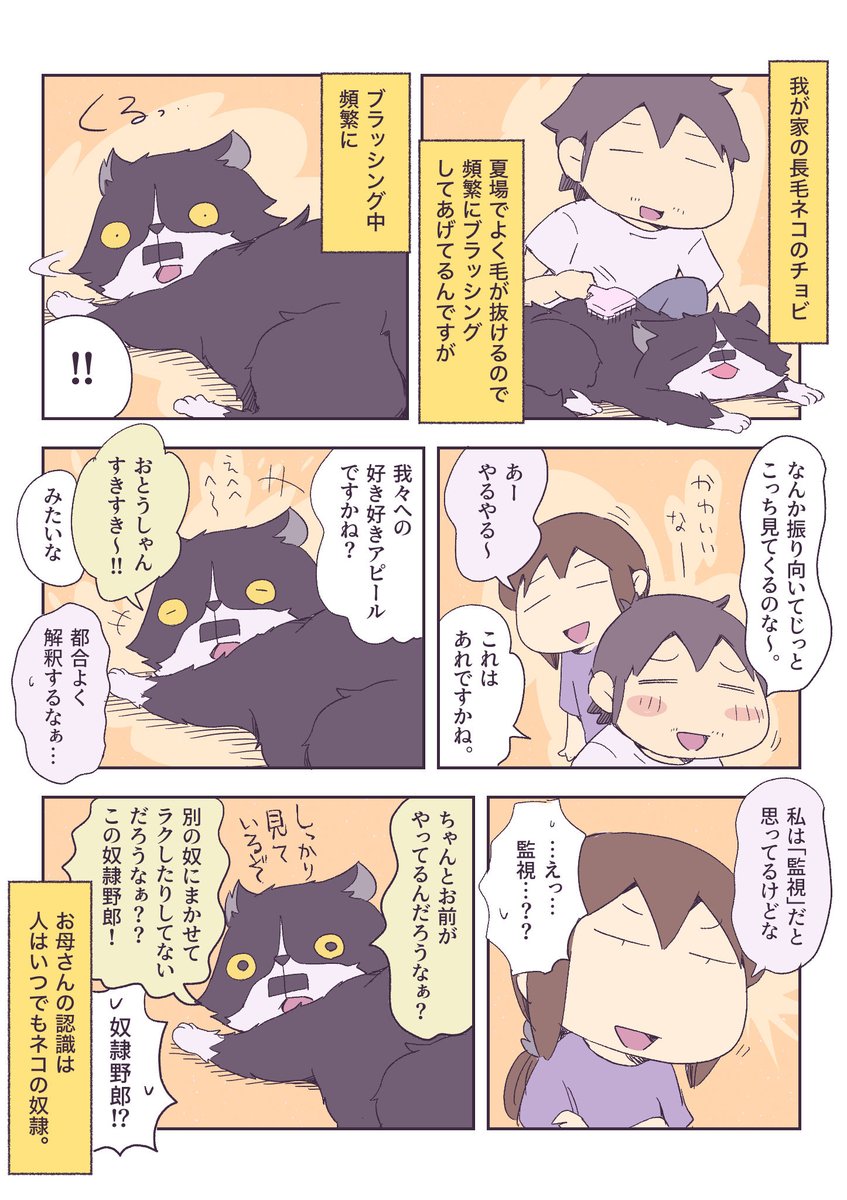 振り向くネコは何を思う 