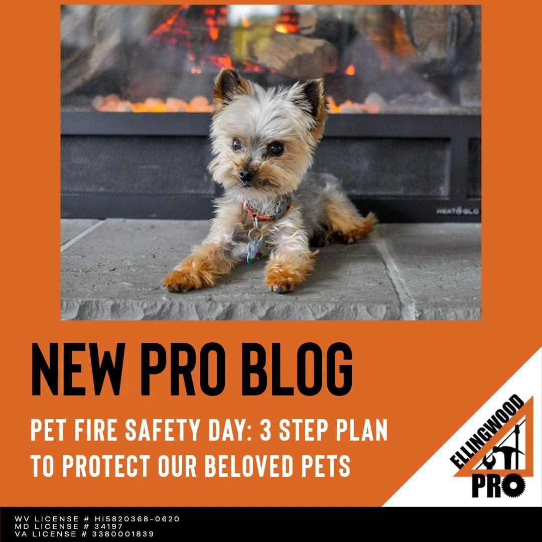 EllingwoodPro's tweet image. New #ProBlog!🐾Saturday, July 15th, is National #PetFireSafetyDay! Don&apos;t miss our new blog where we share valuable tips to protect your beloved pets from fire hazards.

Read now: ellingwoodpro.com/pro-blog/f/tip… 

#inspectb4ubuy #ellingwoodpro #PetFireSafety #PetSafetyTips #FirePrevention