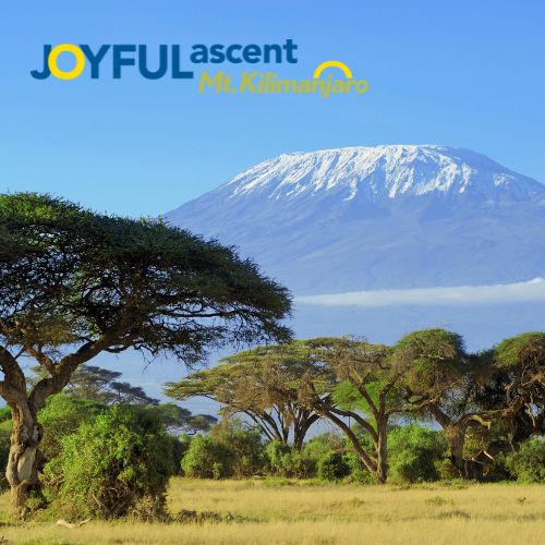 JoySmithFdn's tweet photo. Joyful Ascent: Mt. Kilimanjaro beckons those who crave adventure &amp; believe in a Canada without human trafficking. 🏔️ Embark on an unforgettable journey to raise awareness &amp; end human trafficking! Sign up today &amp; let the adventure begin! Register at https://t.co/QZqcHIf7IE https://t.co/sphHb2wINt