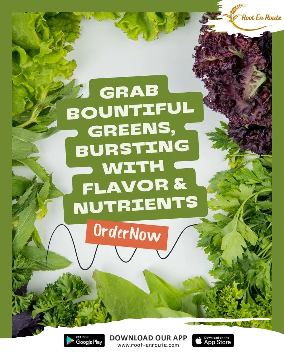 Order farm fresh leafy greens at best prices 

root-enroute.com 

#greens #leafygreens #farmfresh #vegetables #freshleafygreens #leafyvegetables #rootenroute #fruits #grocery