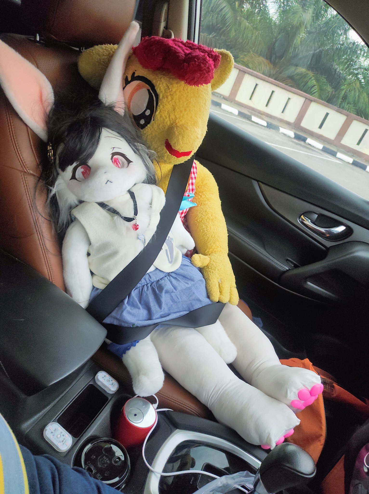 Uraapple2🔞 On Twitter Roadtrip With Ab And Lotus Plushie Plushophile Kemonohime けものひめ