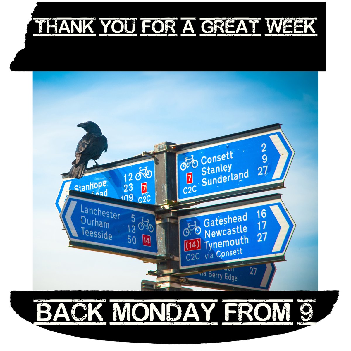 PhotographerMW's tweet image. #thankyou #backmonday #goodweek #keepitlocal #30years #smallbusiness #consett #thephotoshopconsett #markwilkinsonphotography